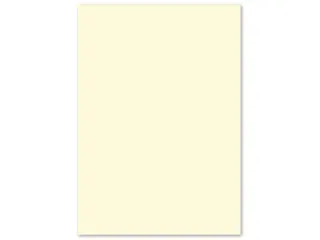 Papier Kangaro A4 80grs beige pak 100 vel - 3