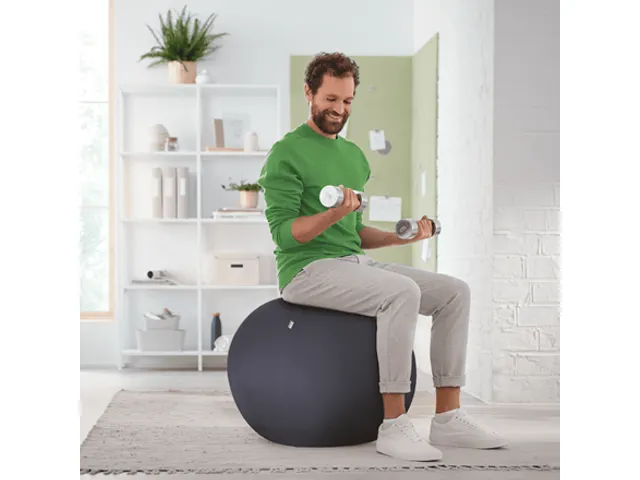 Ballon d'assise Leitz Ergo anti-basculement 55cm gris foncé