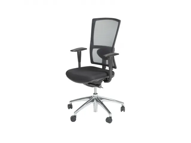 Bureaustoel 300 NEN-EN 1335 Mesh rug Zwart Aluminium gepolijst voet