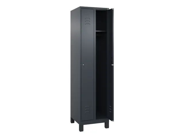 locker,HxBxD 1950x500x500mm,2vak,vak B 250mm,cil.-slot,voeten
