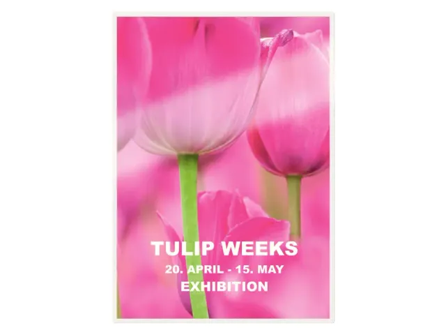 Lamineerhoes Leitz 7481 Ilam A4 2x125 Micron 100stuks