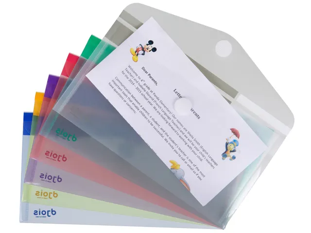 Enveloptas Djois Color Collection 250x135mm horizontaal assorti