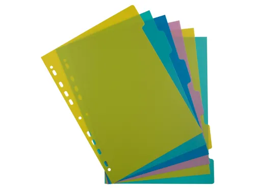 Tabbladen PP FOREVER YOUNG A4 6 tabs