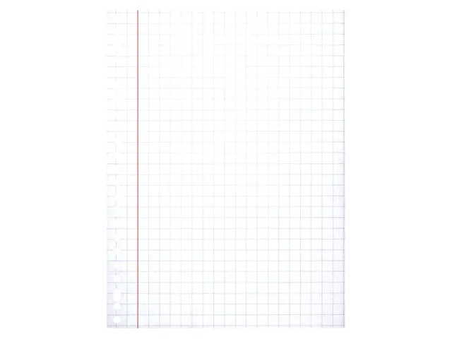 Ringbandinterieur Multo A4 23r ruit 10mm 90 grams 50 vel