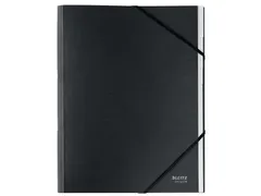 Sorteermap Leitz Recycle 12 vak karton zwart