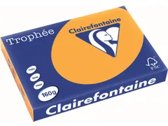 Trophée Pastel gekleurd papier A3 160 gram 250vel Oranje