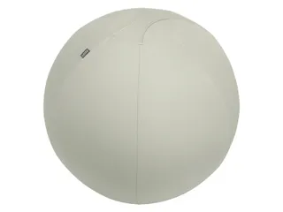 Leitz Ergo actieve zitbal anti-rol met stop-functie 75cm lichtgrijs - 12