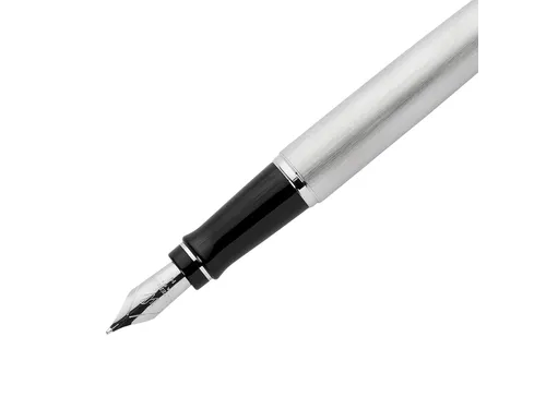 Vulpen Waterman Expert Stainless Steel CT Medium Blauwe inkt