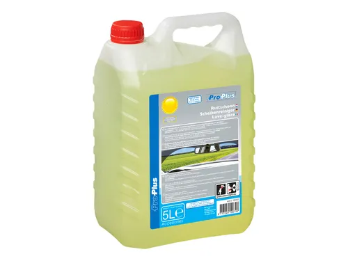 Ruitenvloeistof ProPlus zomer kant en klaar 5 Liter
