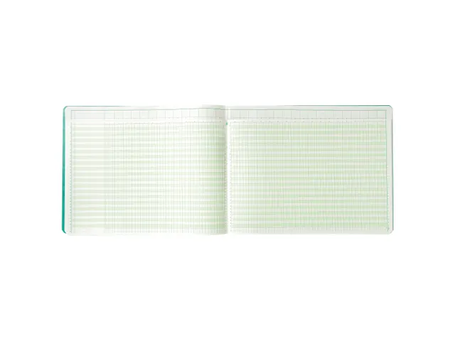 Piqure 29,7x38 uitg hoofd32 kol 80bl