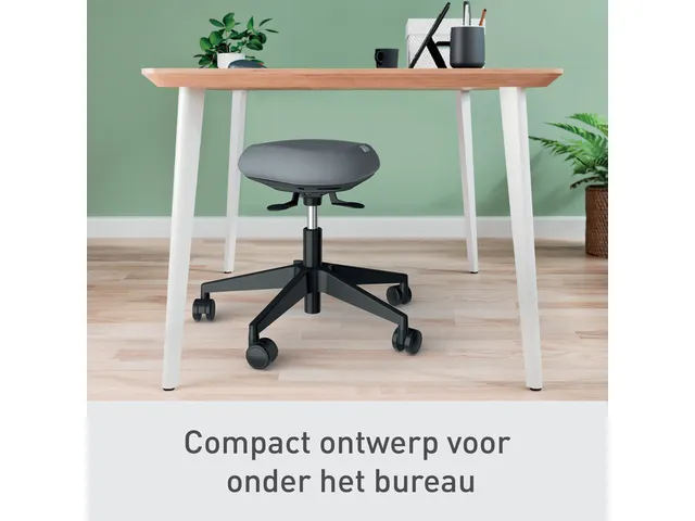 Zitkruk Leitz Ergo met wieltjes en wiebelkussen 600x470x600mm zwart