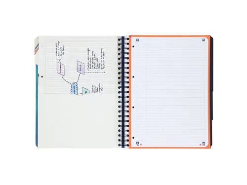 Projectboek Oxford School A4+ lijn 4-gaats 240 pagina's 80gr aqua