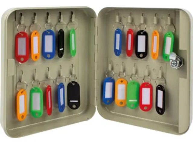 Armoire À Clés Pour 20 Clés Gris