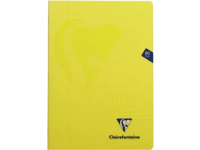 Schrift Mimesys Pp A4 80blz Geruit 4x8mm Assorti