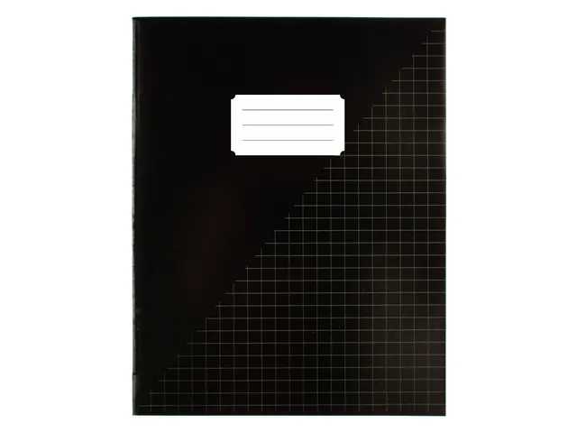 Schrift Kangaro A5 ruit 10mm 80pagina's 60gram 10 stuks assorti