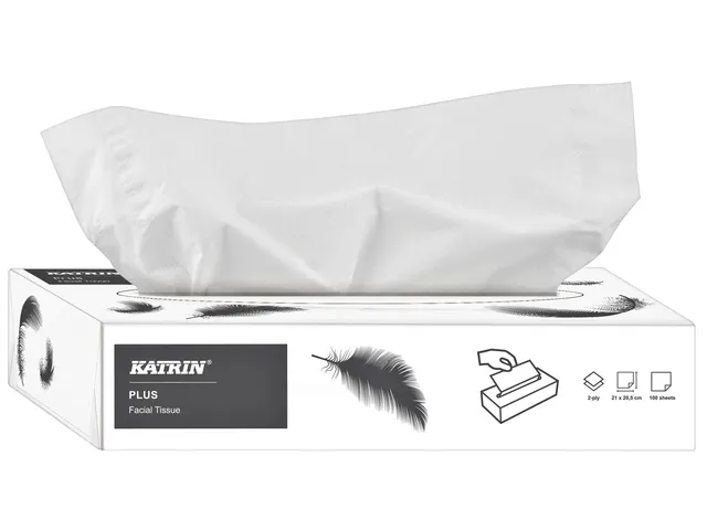 Facial tissue's Katrin 11797 2-Laags wit doos à 100 stuks