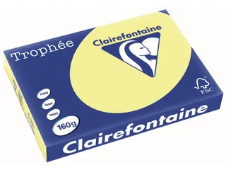 Trophée Pastel gekleurd papier A3 160 gram 250vel Citroengeel - 1
