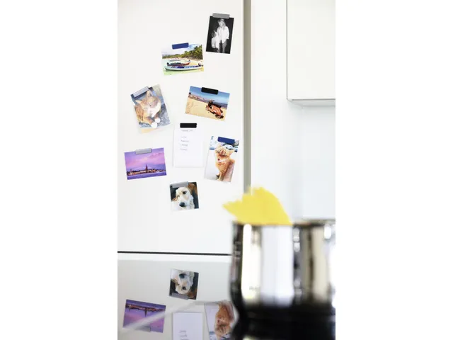Magneetklem 60mm Durafix Clip Zwart