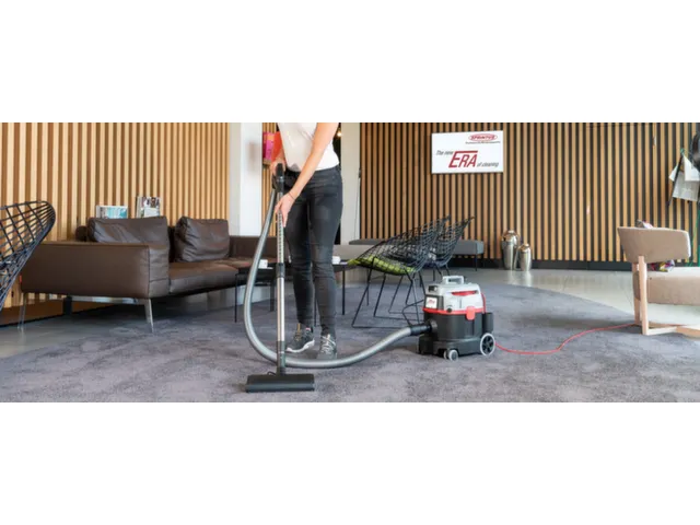 droogzuiger,700 W,bak 13l,Werk b 280mm