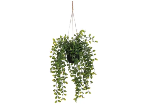 Kunstplant Mica Ficus hangend in pot groen 20x46cm