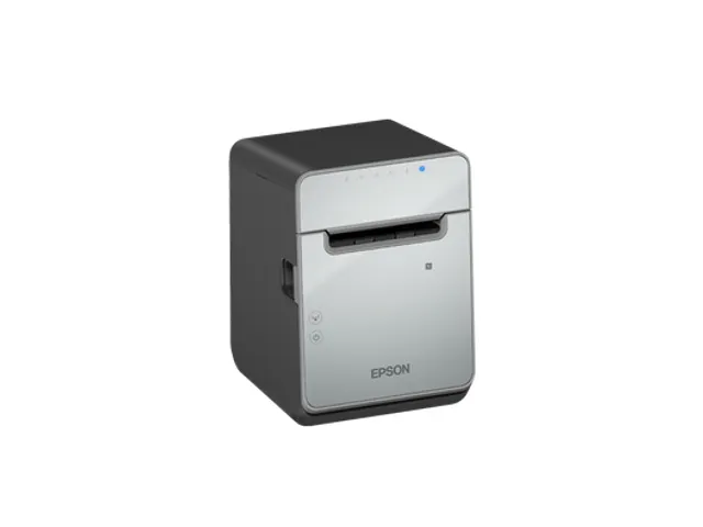 Epson C31CJ52103, Direct thermisch, 170 mm/sec, Bedraad en draadloos,