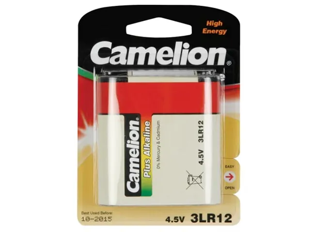 Alkaline Plat 4.5V-5900mA (1ST/BL)