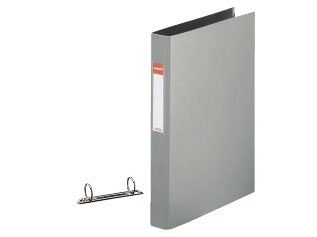 Ringband Esselte Vivida 2-Rings A4 25Mm Pp O-Mech Grijs