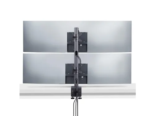 StarTech.com Monitorarm voor Twee Schermen 49 Inch