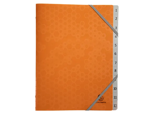 Trieur polypropylène recyclé 12 compartiments Maïa - Couleurs assor