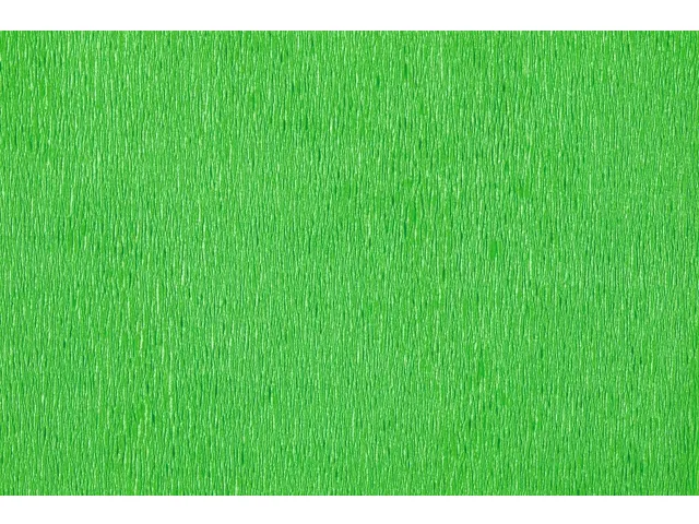 Papier crépon Folia 250x50cm 10 feuilles n° 140 vert Noël