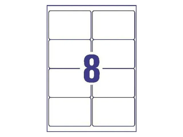 Verzendetiket Avery Block-out, 99,1 x 67,7mm wit doos 100 vel, 8 etike