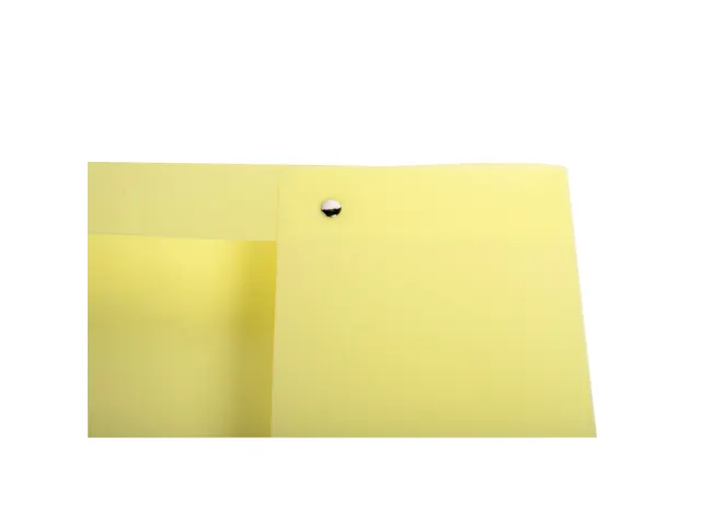 Boite de classement Exabox Dos 25mm Polypropylène 7/10e Chromaline pa