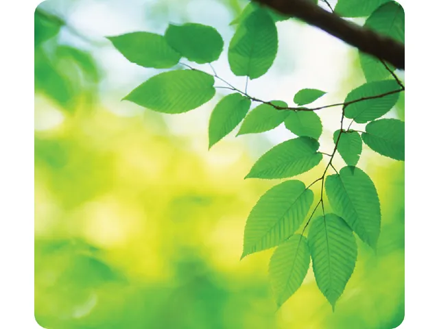 Muismat Fellowes natuur collectie bladeren