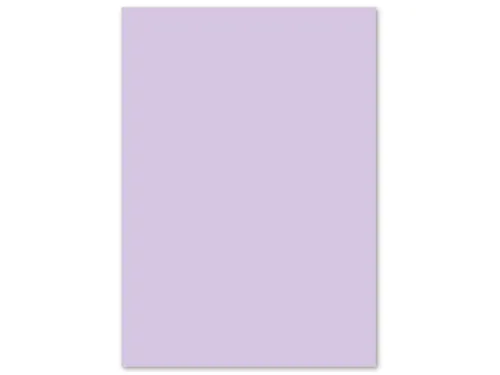 Papier Kangaro A4 160 grams pastel lila pak 50 vel