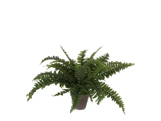 Kunstplant Mica Boston varen groen in pot 42x50cm - 7