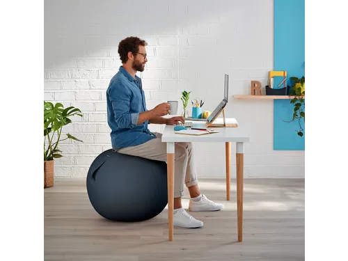 Actieve zitbal Leitz Ergo Cosy grijs