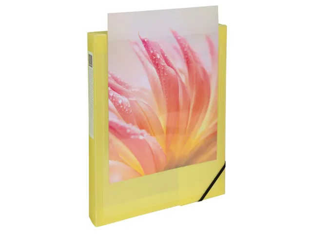 Boite de classement polypropylène Kreacover Pastel dos 40mm - A4 - Co