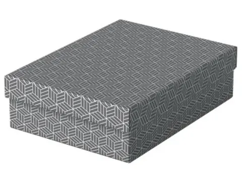 Esselte Home Middelgrote Opberg-en Geschenkdoos Grijs Set van 3