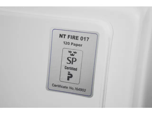 brandkast,120min. brandveiligheid,HxBxD 1160x655x560mm,2niveaus