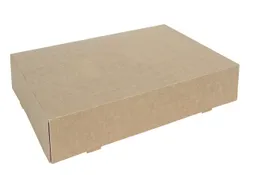 Cateringdoos IEZZY 35cm plasticvrij bruin 10 stuks