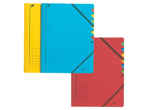 Sorteermap Leitz 3912 A4 12 vaks karton blauw