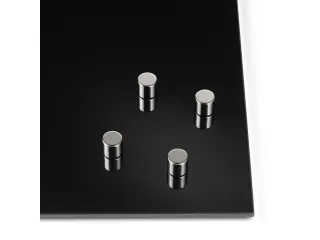 Glasbordmagneten Naga 10x10xmmcylinder set a 4st. zilver - 2