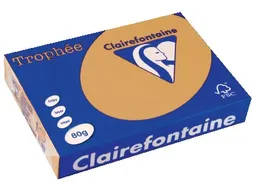 Trophée Pastel gekleurd papier A4 80 gram 500vel Caramel bruin