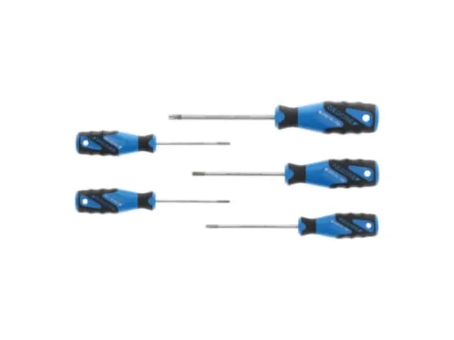 GEDORE 2163 TX-05 3C schroevendraaierset 5-delig TX T10-T30