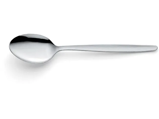 Scandinave lepel uit inox