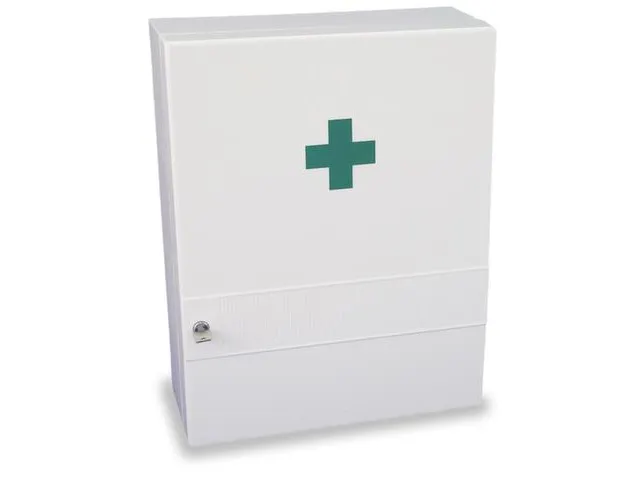 Ehbo Kast Kunststof Hxbxd 450X330X160Mm V. Din 13157 Zonder Vulling