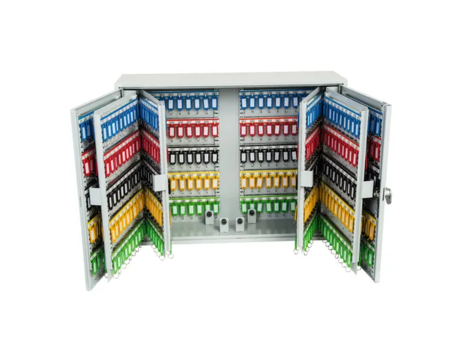 armoire à clés,600crochets,HxlxP 550x730x205mm,corps gris