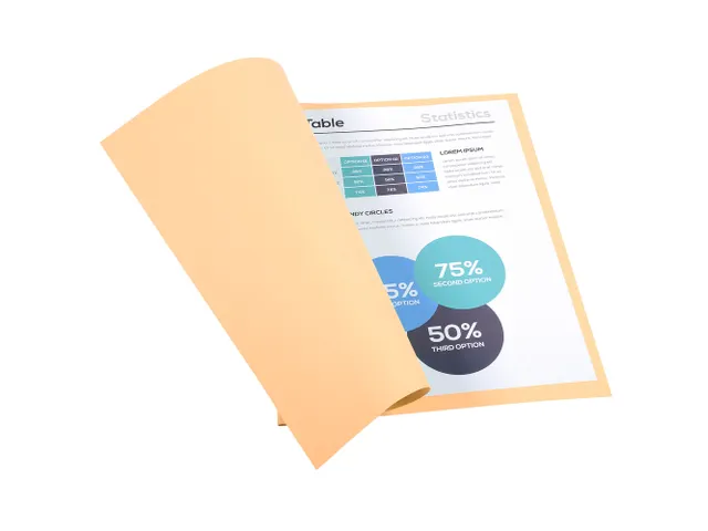 100 dossiermappen FOREVER 250 100%gerecycleerd 24x32cm Gems