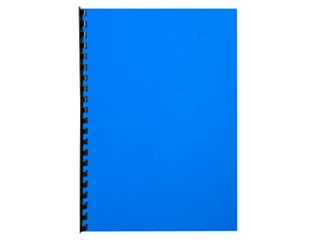Pk 100Vl Forever Fra Nce Blauw A4 270G - 1