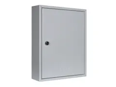 Sleutelkast Hxbxd 350X270X80Mm 42Haakjes 1Deur Ral7035